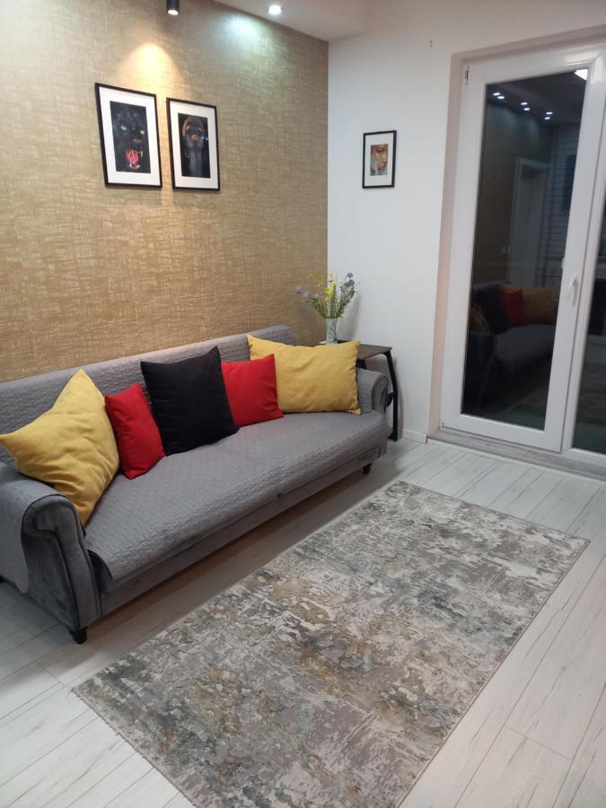 Voyage Cubic Adults Only Daire Sibiu Dış mekan fotoğraf